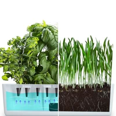 Фото: Умный сад, гидропонная система Halo 3-4 Умный сад, гидропонная система Halo 3-4